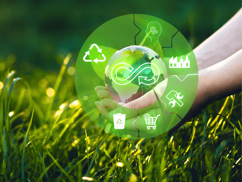 Why the Circular Economy Is a Source of Growth for Any Firm